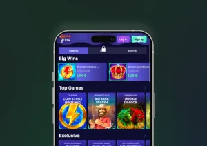 Spinogrino app